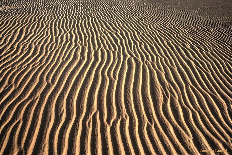 Sahara oriental : les dunes de l'erg Admer - 4