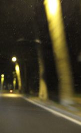 Bois de Boulogne la nuit