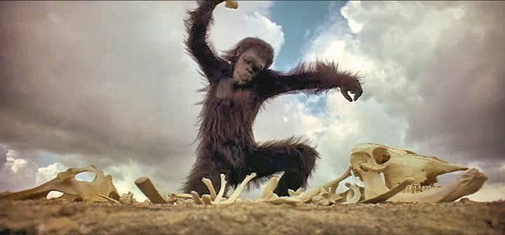 Scène initiale de 2001: l'odyssée de l'espace. Un primate se sert d'un os comme outil ou comme arme