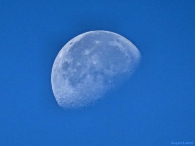 Belle de jour, la Lune le 23 août 2016