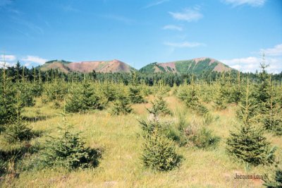 Les puys de La Vache et Lassolas