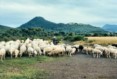 Le puy des Gouttes et la Chopine