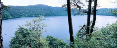 Le Lac Pavin, eau morte ?