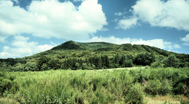 Le puy de Louchadière : égueulement du cratère
