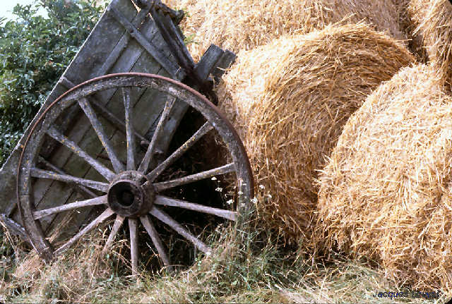 Roues à Thorigny-sur-Oreuse