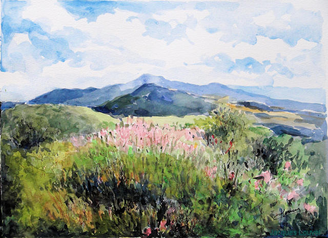 Paysage du Puy-de-Dôme (1)