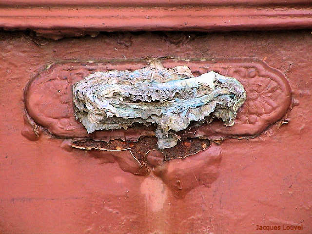 Une très longue absence