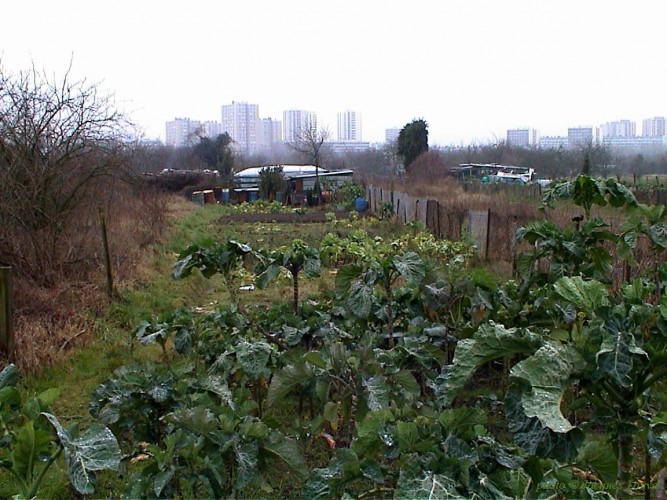 Jardins à Argenteuil et Cormeilles -2