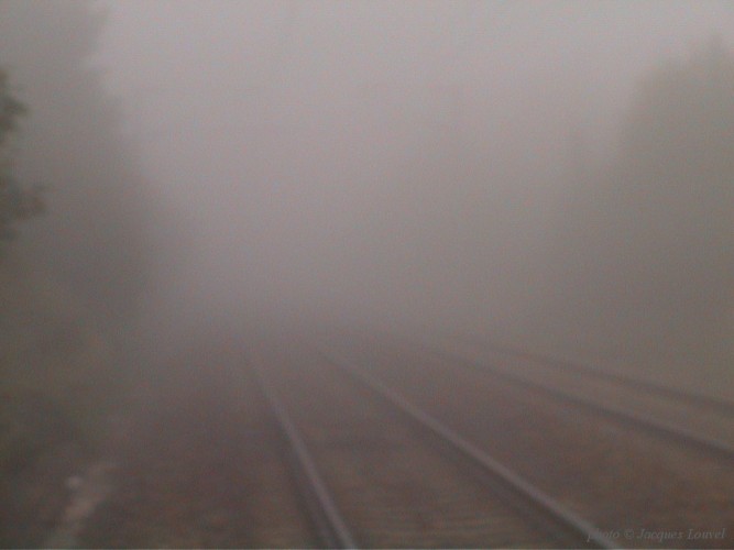 Jardins à Argenteuil et Cormeilles -4