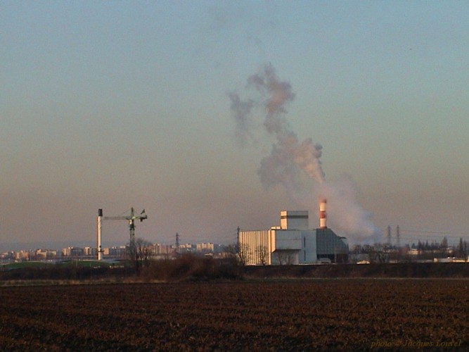 Jardins à Argenteuil et Cormeilles -5