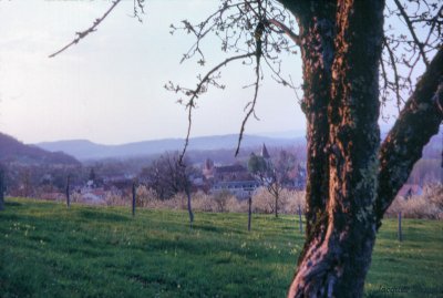 Vue générale de Carennac depuis un point de vue proche du cimetière Carennac (Lot) : au-dessus de l'hôtel du Quercy