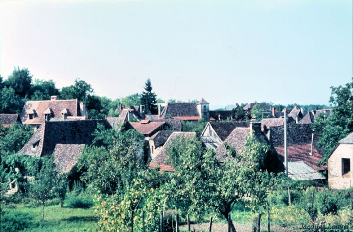 Carennac (Lot) : vue générale au nord-ouest