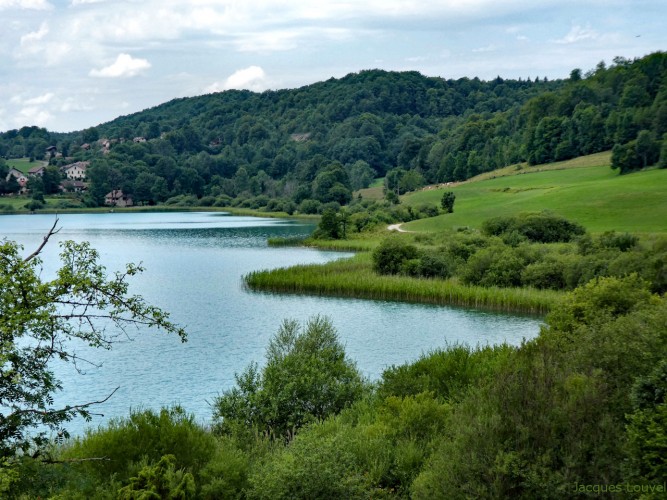 Au bord du lac du Grand Maclu (Jura)