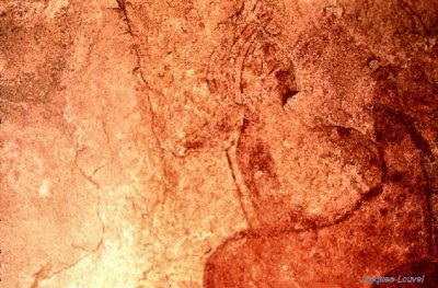 Tassili n'Ajjer :  Tamrit, les antilopes (1)