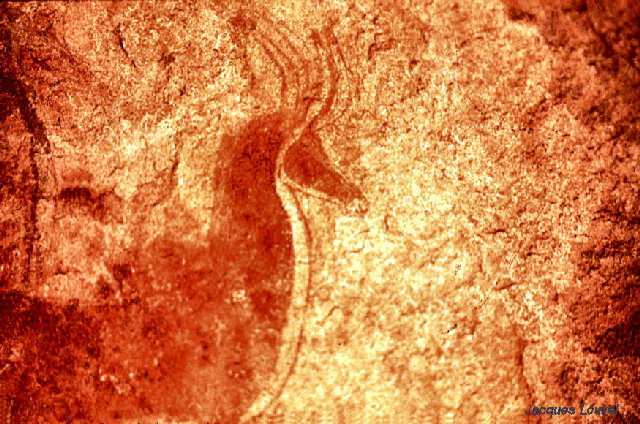 Tassili n'Ajjer : Tamrit, les antilopes (2)