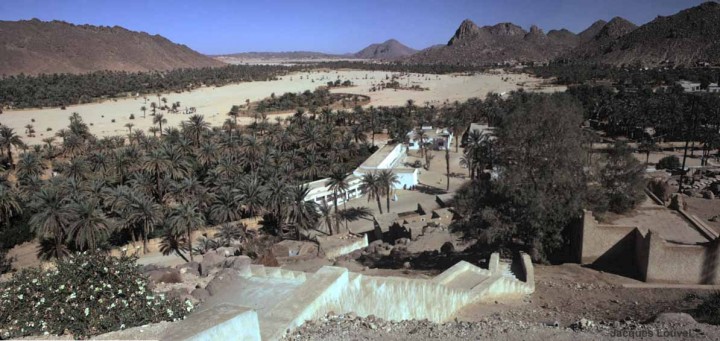 Tassili n'Ajjer : oasis de Djanet