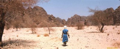 Tassili n'Ajjer : le guide marche devant... Tassili n'Ajjer : approche de l'Akba Tafilalet