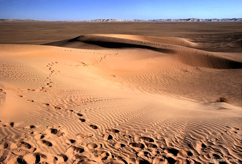 Sahara oriental : les dunes de l'erg Admer - 2