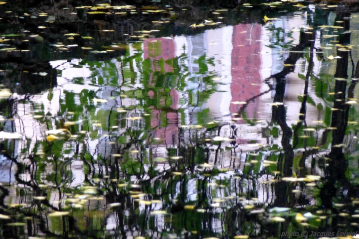 Autour du Museum, Paris, novembre 2012