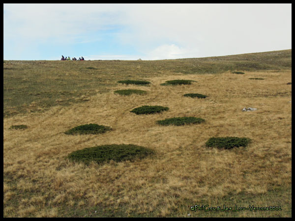 Plateaux du Vercors