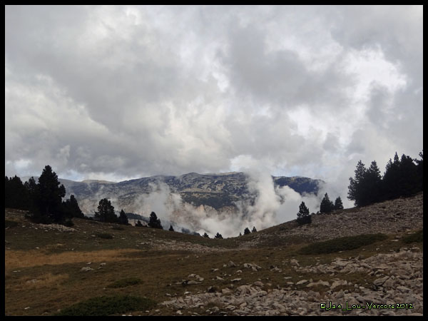 Paysage #1